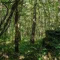 tellurique_DSC07584_WEB.jpg