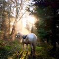 Cheval-Blanc_WEB.jpg
